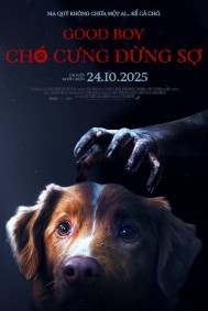 Chó Cưng Đừng Sợ