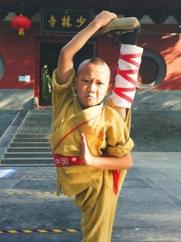 Đại Náo Thiếu Lâm Tự The Shaolin Temple Boy